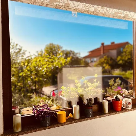 Apartment With Garden And Terrace Appartamento Pola