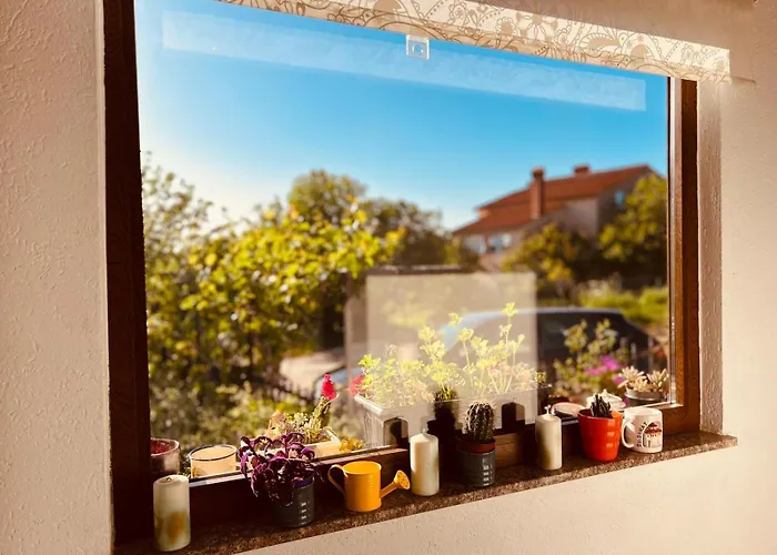 House With Garden And Terrace Apartman Pula