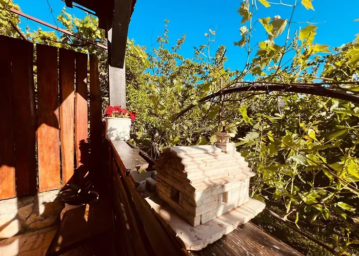 Apartamento House With Garden And Terrace Pula