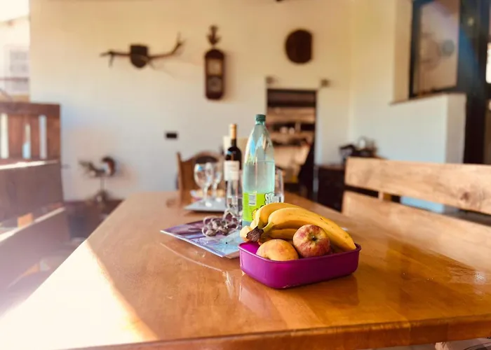 House With Garden And Terrace Apartamento