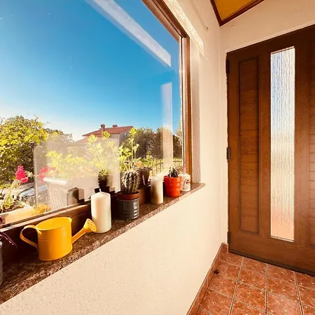 Apartment With Garden And Terrace Pula