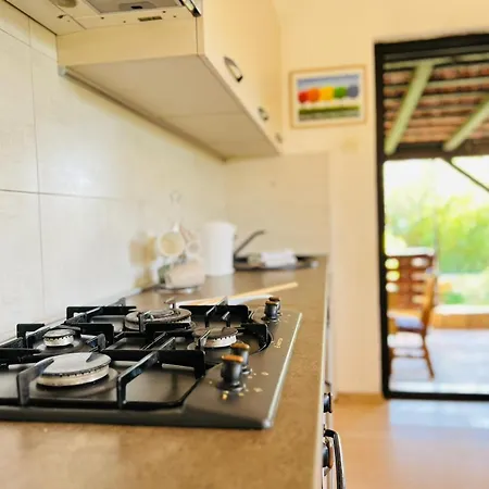 With Garden And Terrace Apartment Pula