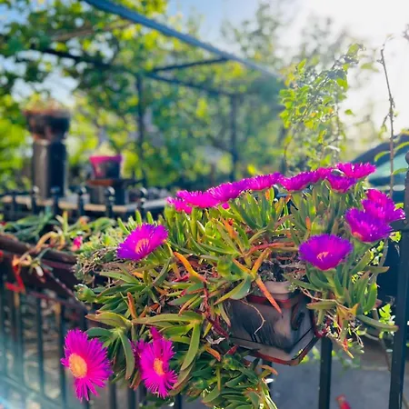 With Garden And Terrace Apartment